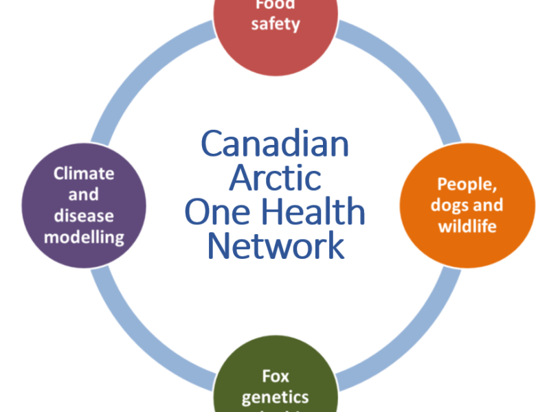 One Health in the&nbsp;Arctic